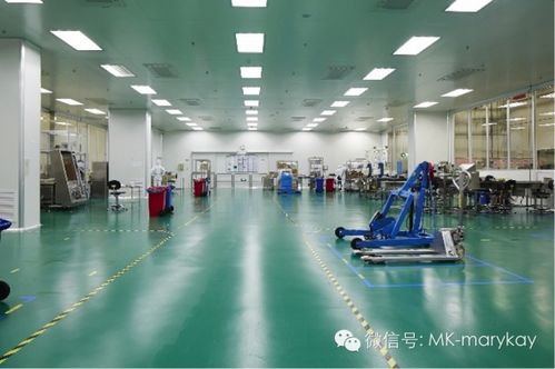 玫琳凱化妝品是否具有依賴性 理性分析與科學解答