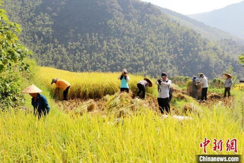生態(tài)引擎激發(fā)產(chǎn)業(yè)活力 東安農(nóng)旅融合驅(qū)動(dòng)畜產(chǎn)品貿(mào)易新篇
