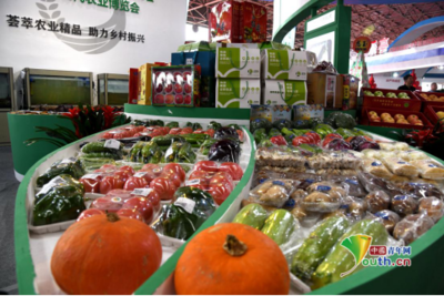 第九屆唐山農產品展示交易會暨樂亭現代農業博覽會開幕，聚焦畜產品購銷貿易