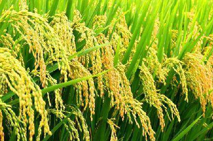 好產(chǎn)品，溯源碼訴說；高品質(zhì)，細(xì)節(jié)中彰顯